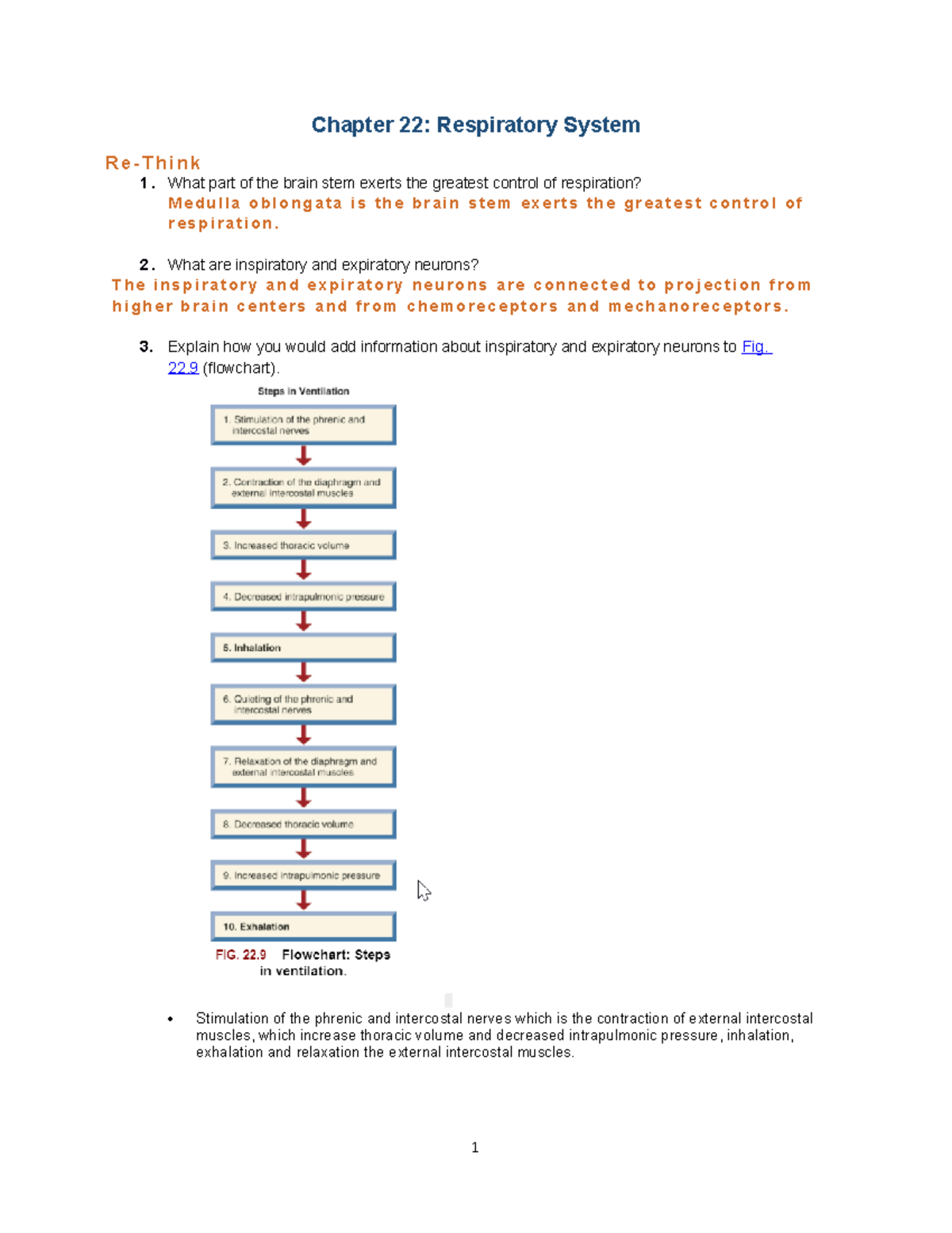 Prolonged Expiratory Phase And Wheezing Palsregister - hz15obz