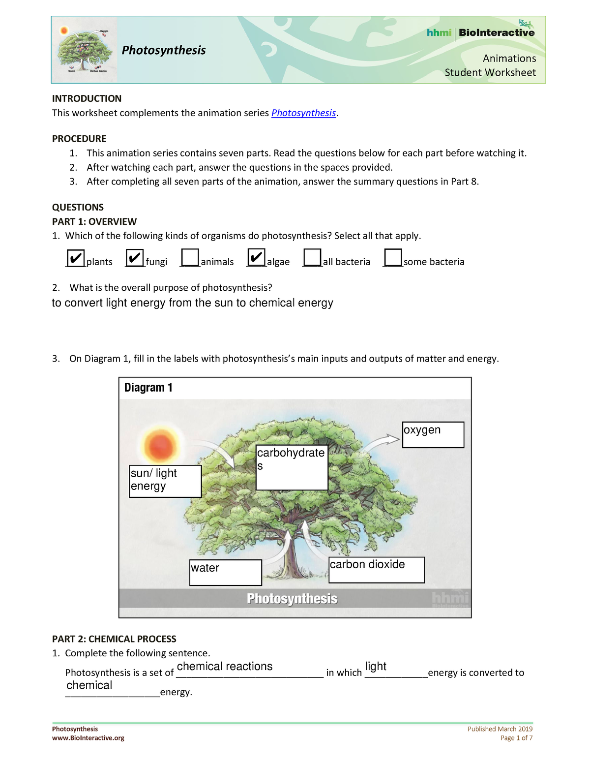 photosynthesis animation worksheet answer key