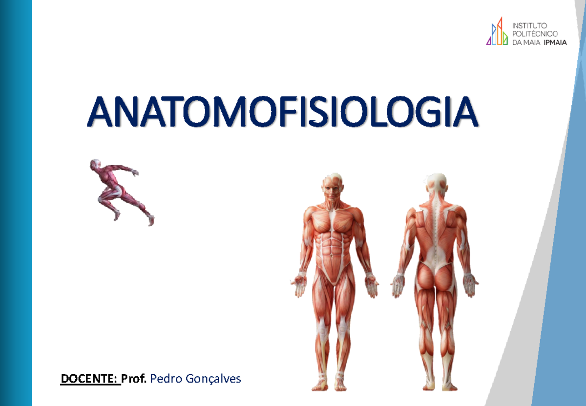 anatomiofisologia - ANATOMOFISIOLOGIA DOCENTE: Prof. Pedro Gonçalves N ...