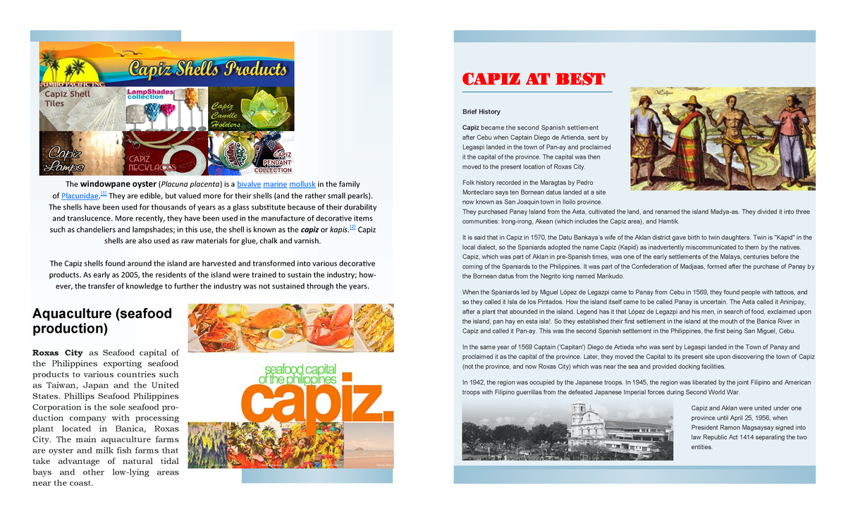 Araling Panlipunan Brochure MJAY- All about Capiz - IT Application ...