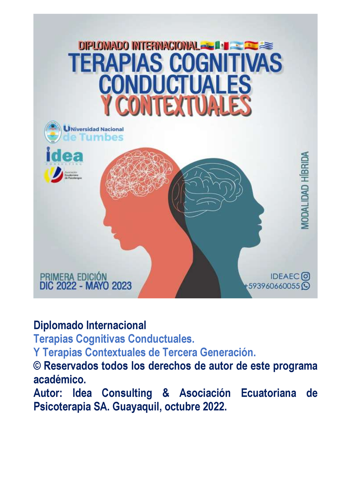 Terapias Cognitivas Conductuales Y Contextuales, Diplomado ...