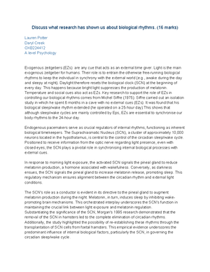 153087 - Reflect RAP-Brochure V3 Low Res - March 2021 – August PETER ...