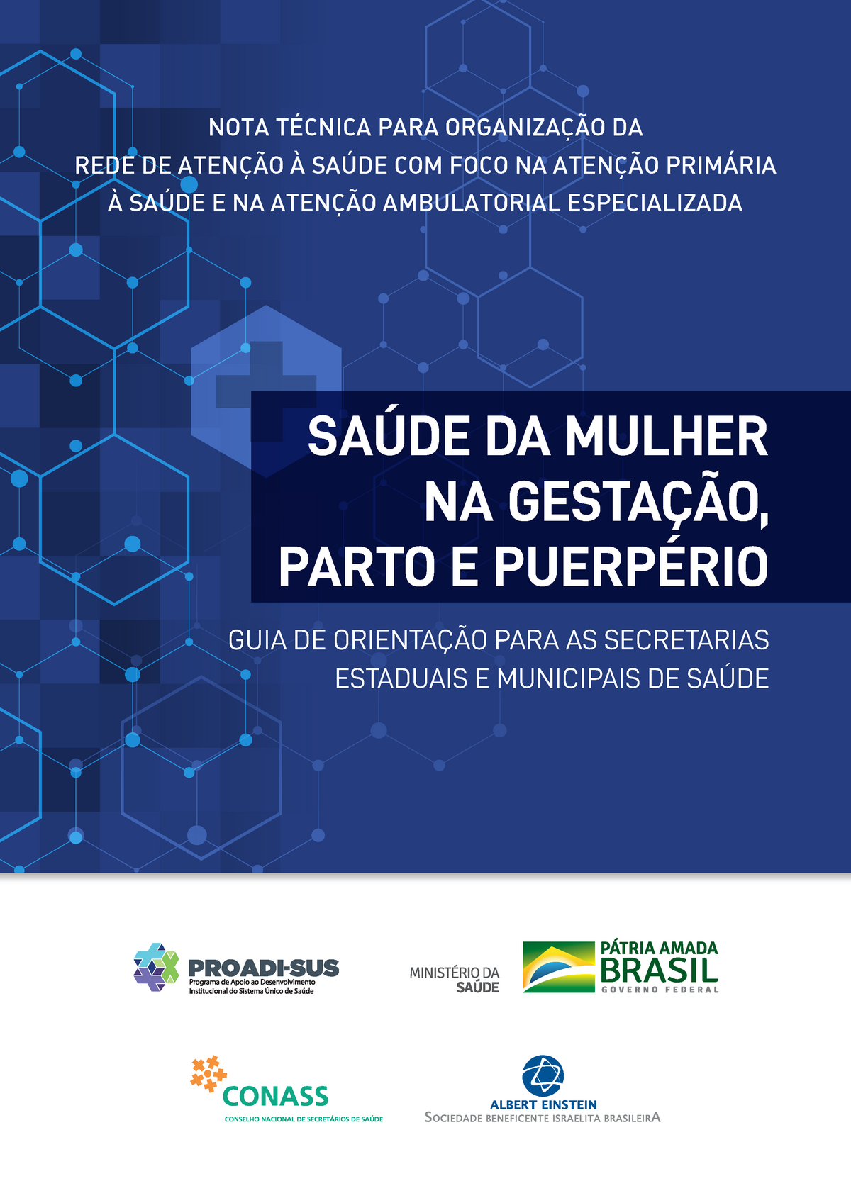 03091259 Nt Gestante Planificasus SaÚde Da Mulher Na GestaÇÃo Parto E PuerpÉrio Nota TÉcnica 4189