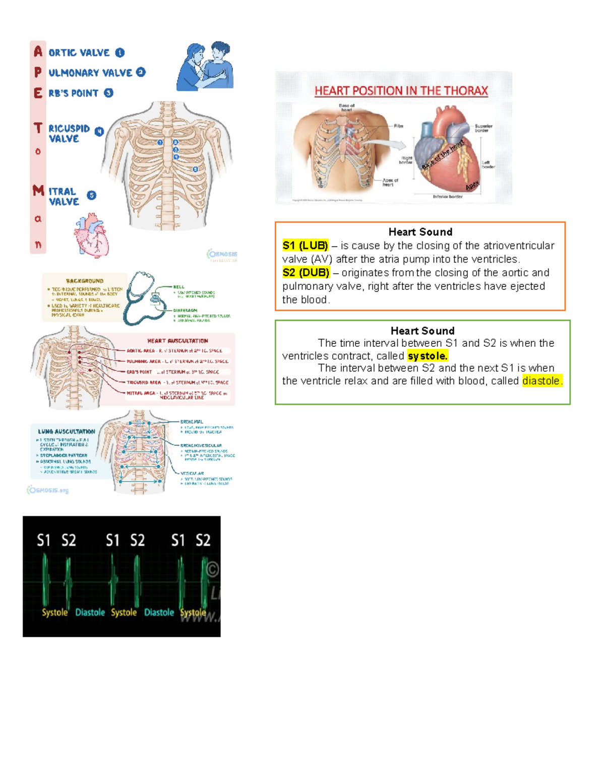 Cardio Heart Sound notes - Anatomy and Physiology - Heart Sound S1 (LUB ...