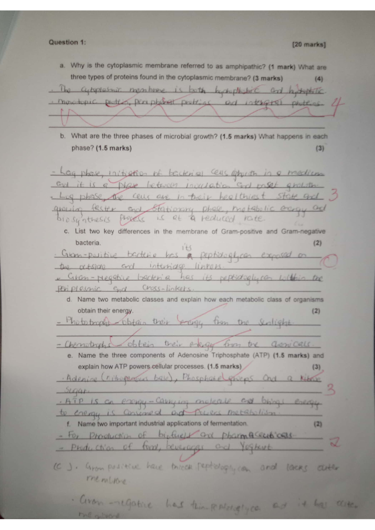 Mby 251 Semester Test 1 2024 Mby 251 Studocu