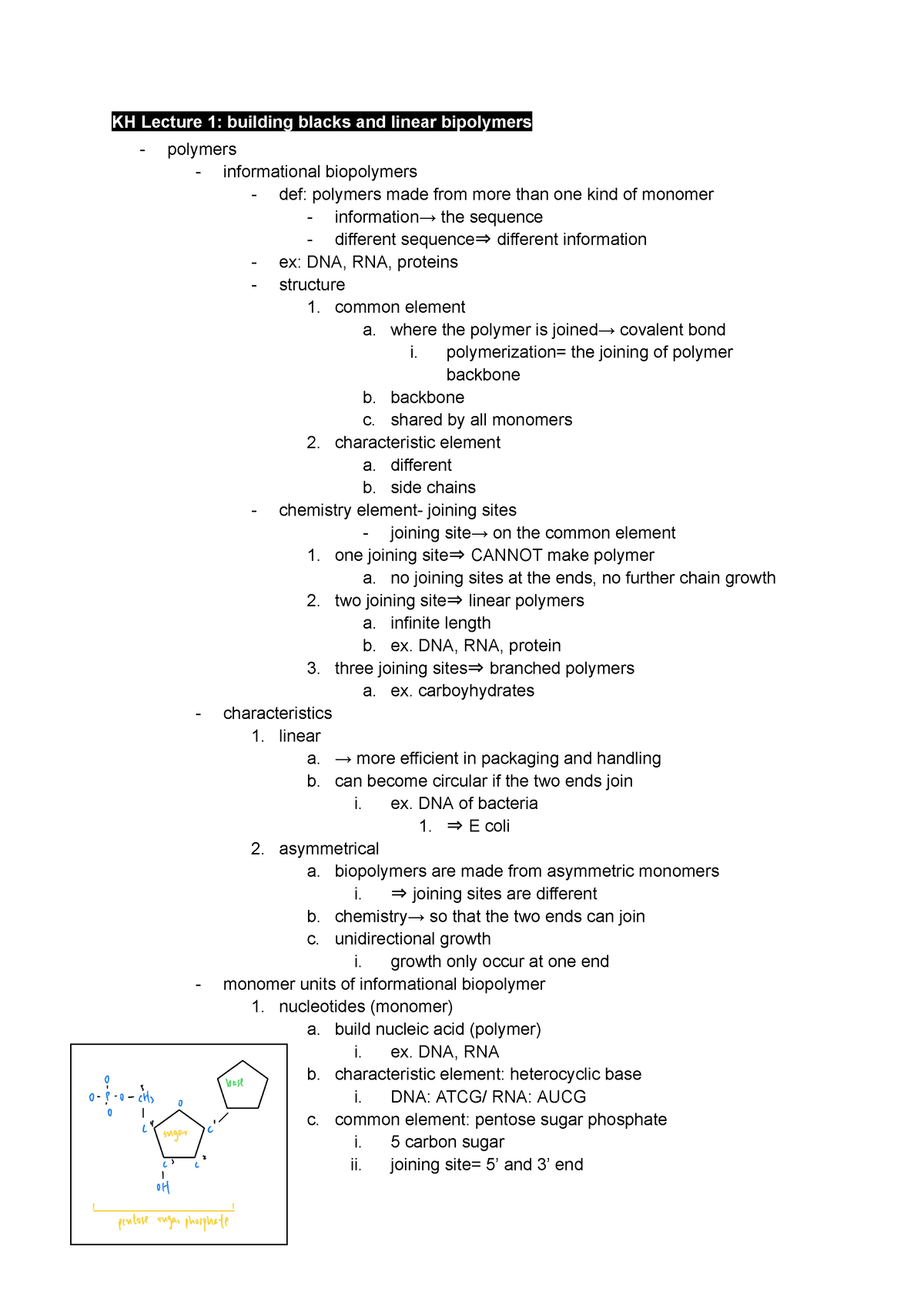 Biology Midtermm - Midterm Review Material (from Lecture) - KH Lecture ...