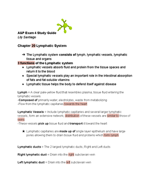 Chapter+2+Study+Sheet - Chapter 2 Study Sheet The Chemistry of Life *A ...