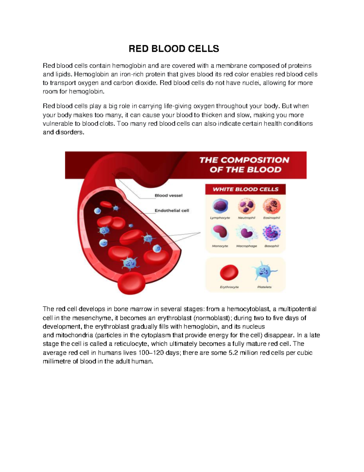 RED Blood Cells - assignment - RED BLOOD CELLS Red blood cells contain ...