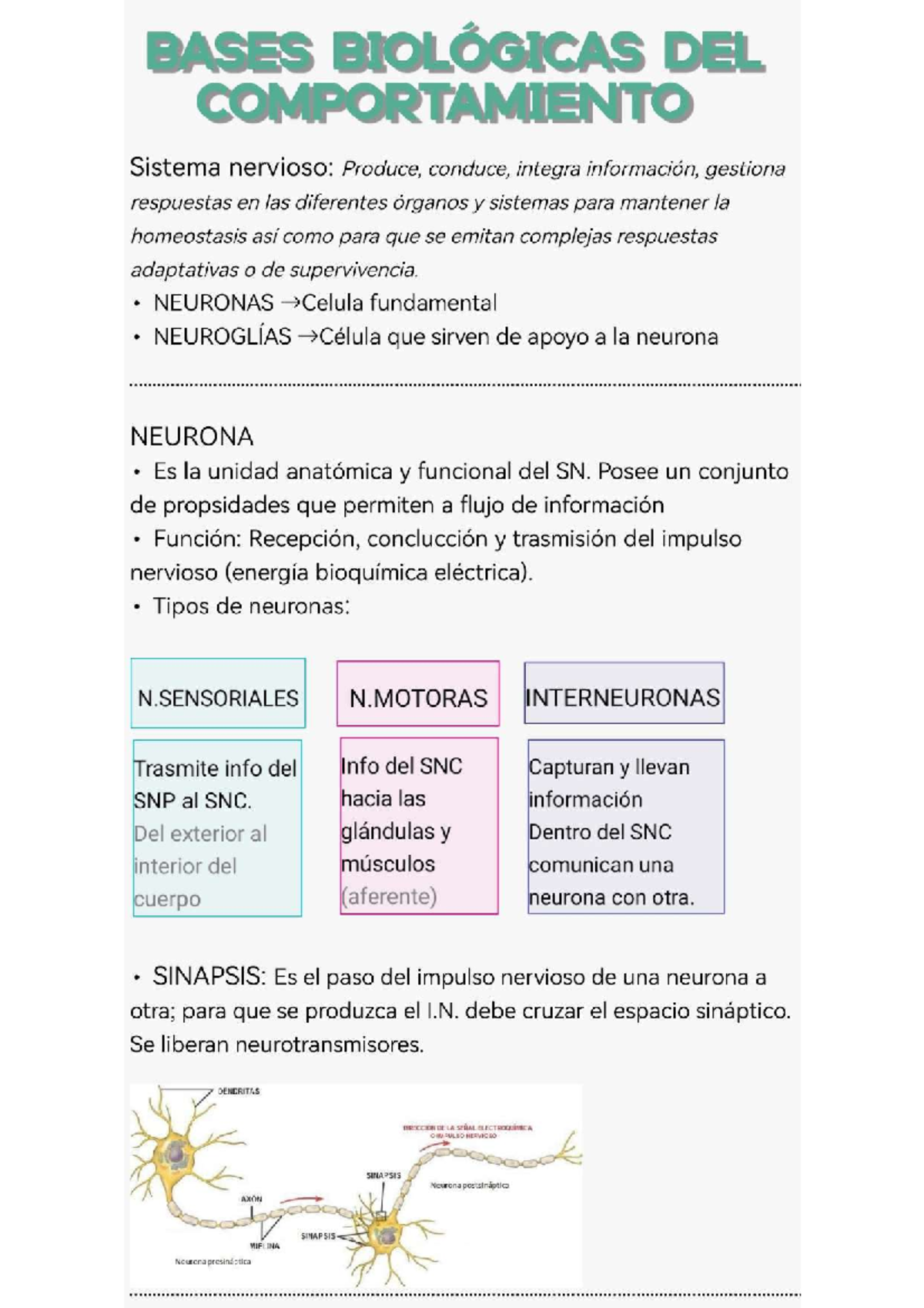 Parte 1 - Bases Biológicas Del Comportamiento - Psicología - San Marcos ...