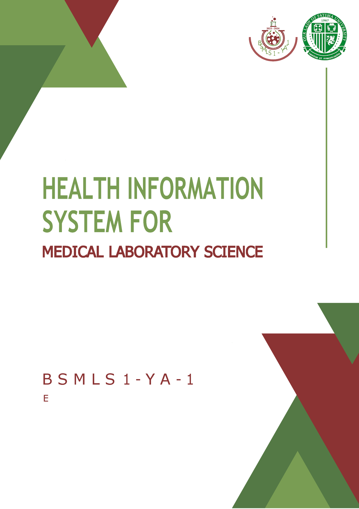 health-information-system-health-information-system-for-medical