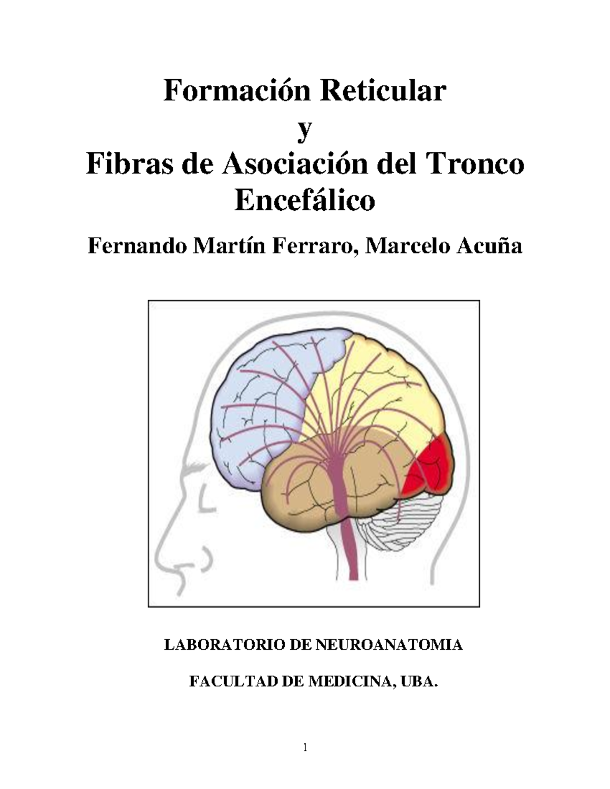 Formación reticular 0 - Formación Reticular y Fibras de Asociación del ...