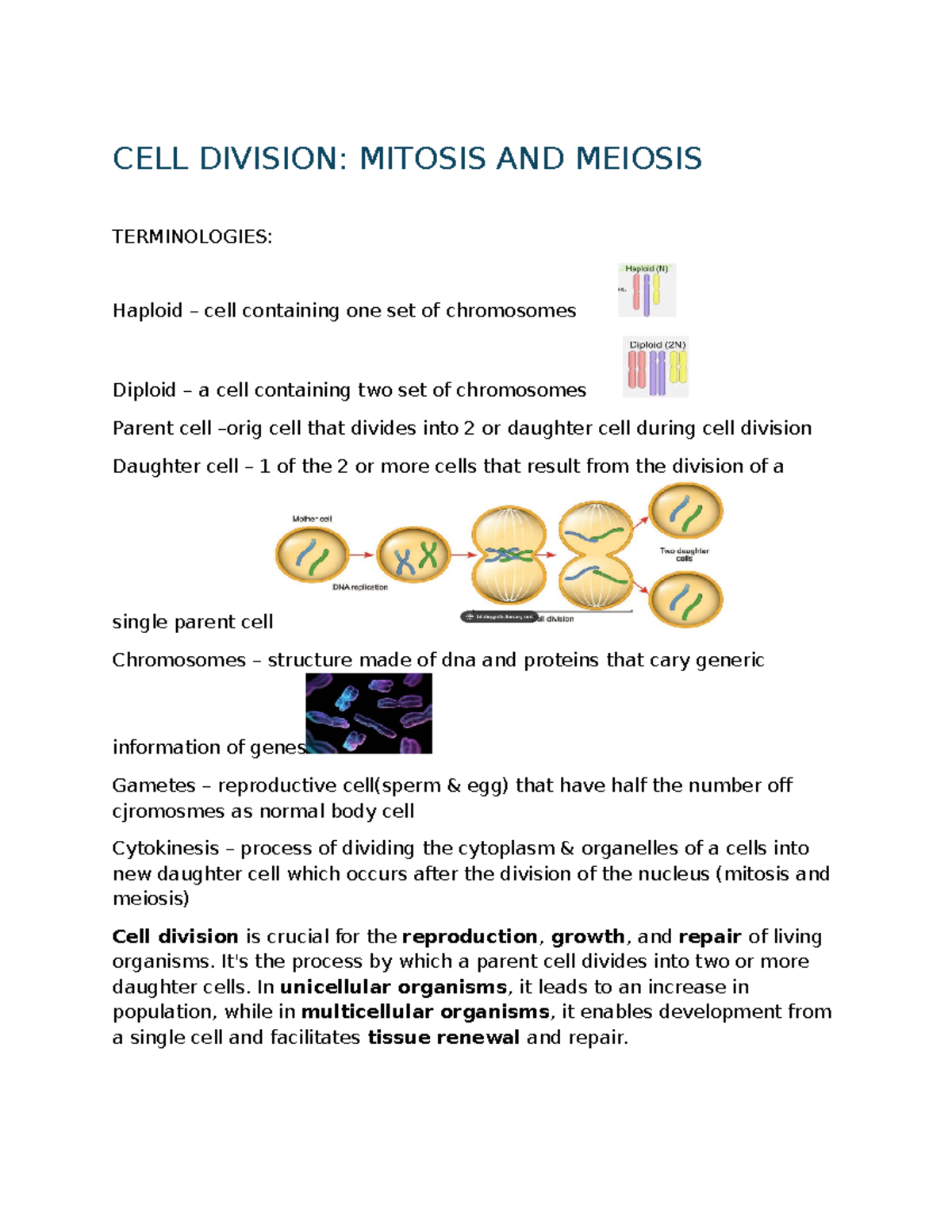 Cell division mitosis and meiosis - CELL DIVISION: MITOSIS AND MEIOSIS ...