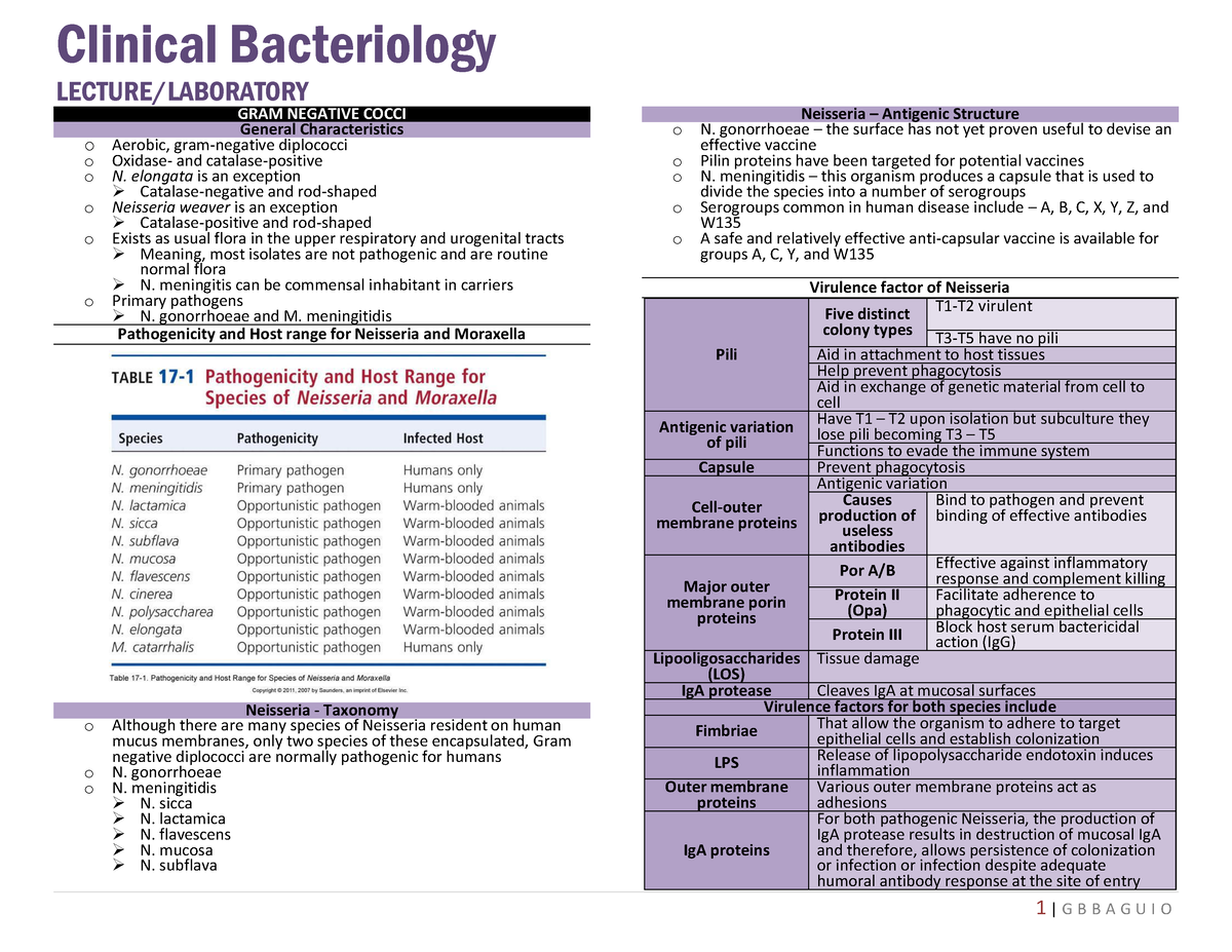 Gram negative Cocci - Clinical Bacteriology LECTURE/LABORATORY GRAM ...