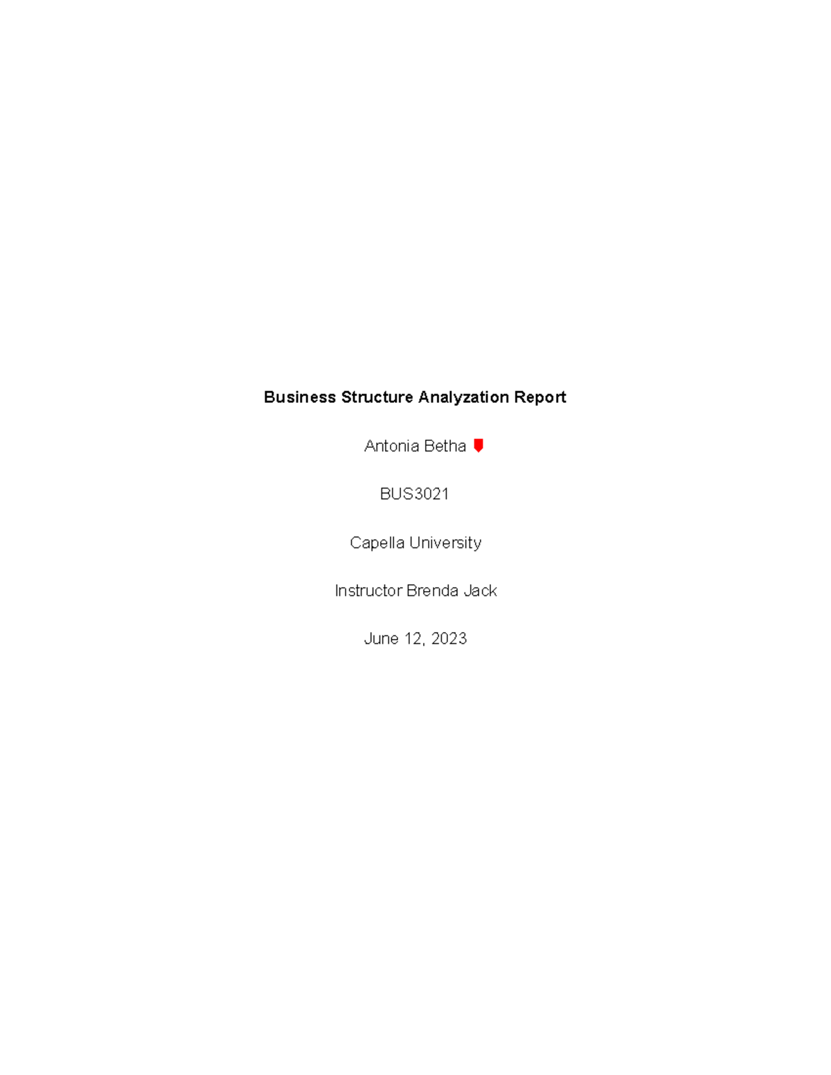 Business Structure Analyzation Report - The first thing that should be done is an analysis and ...