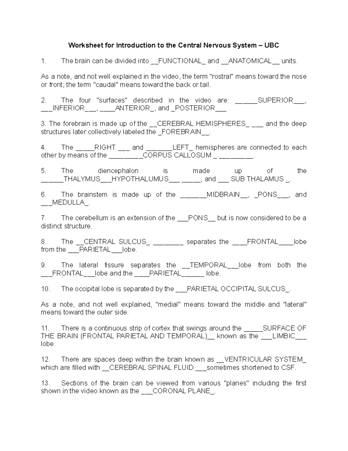 clinical-neuropsych-video-1-worksheet-for-introduction-to-the-central