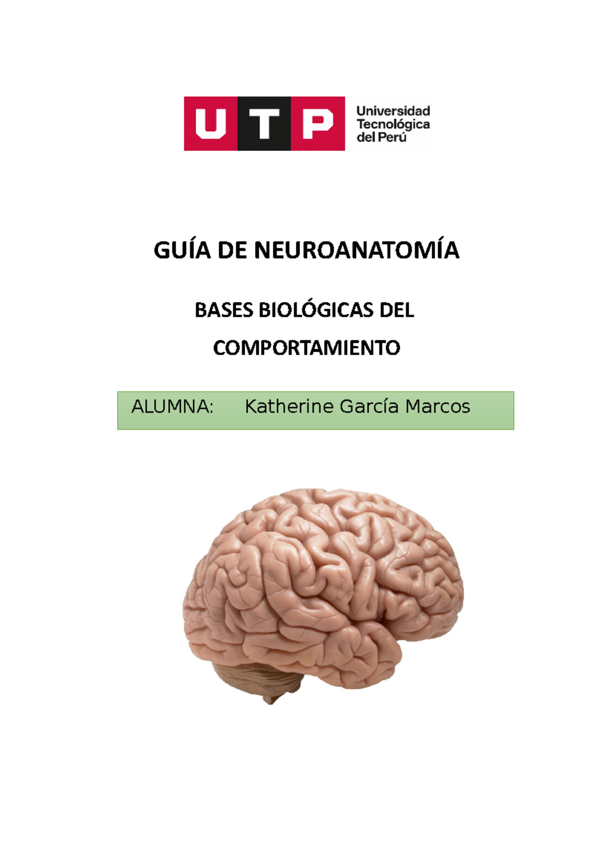 S5.s2 -Guía De Neuroanatomía -Completa - GUÍA DE NEUROANATOMÍA BASES ...