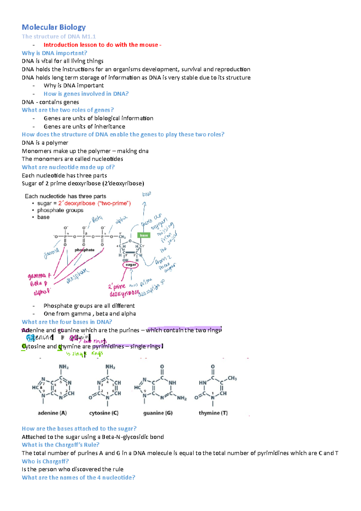 Molecular Biology finals - Molecular Biology The structure of DNA M1 ...