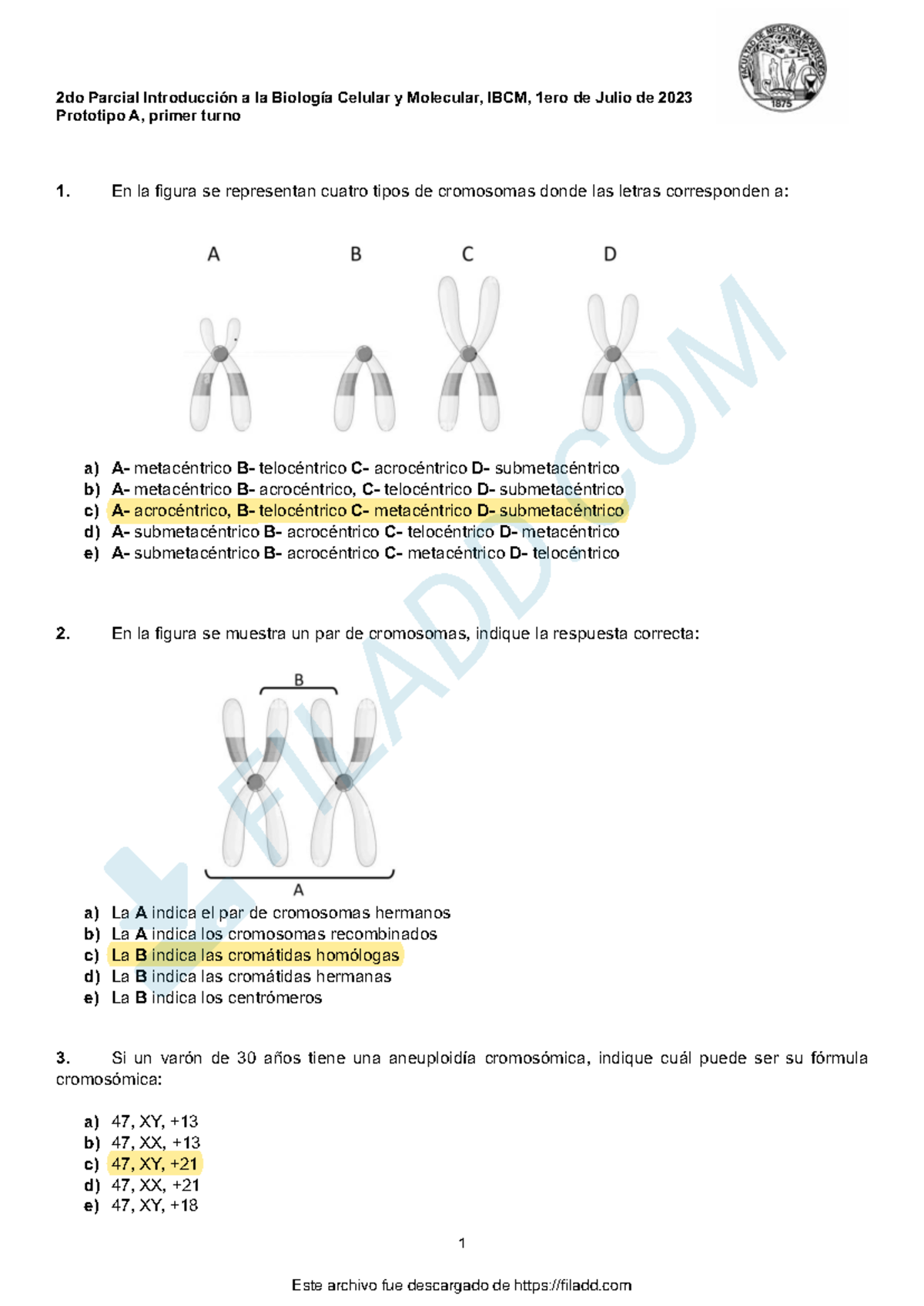 IBCM 2023 2do Parcial 1 Julio Prototipo A Respuestas - Prototipo A ...