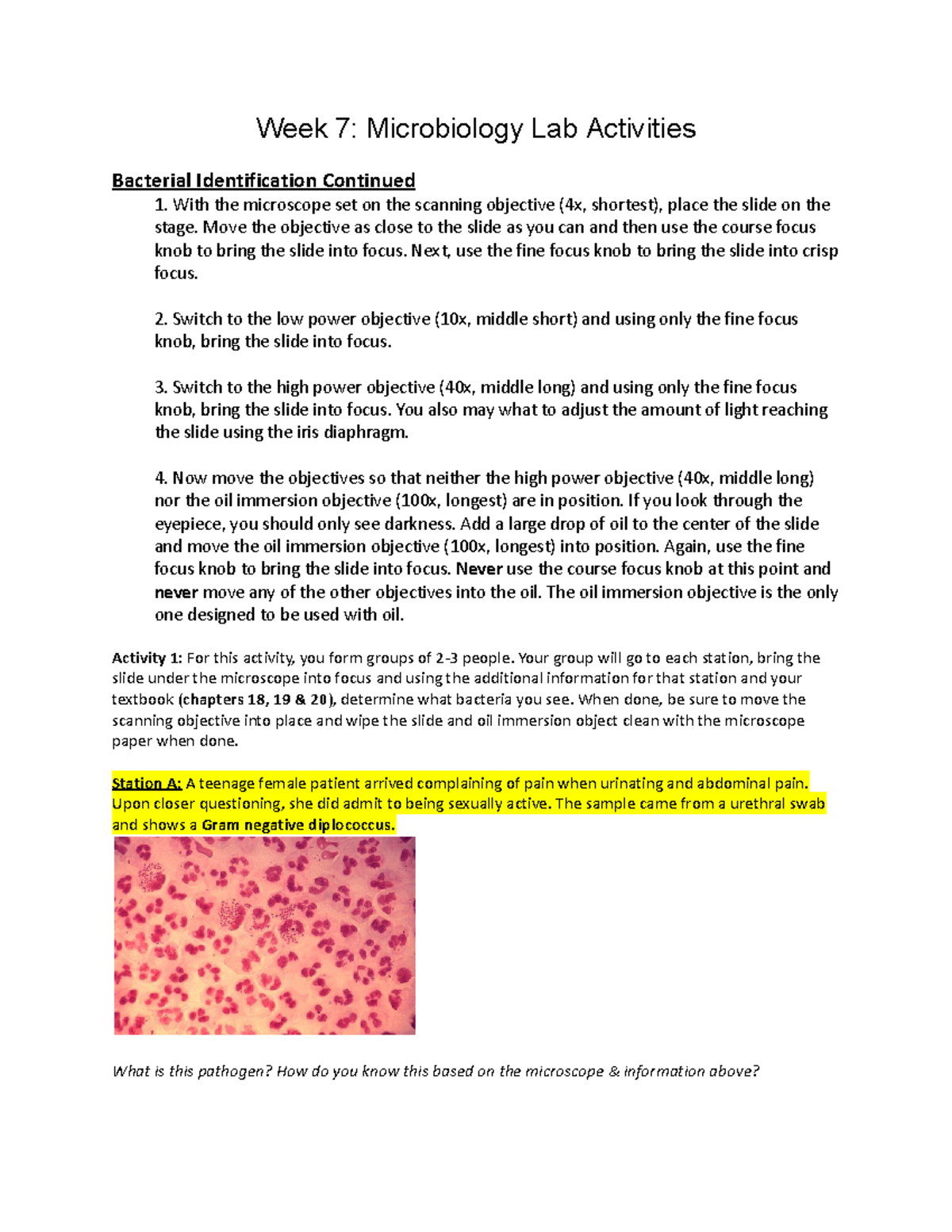 Week 7 Microbiology Lab Assignment Week 7 Microbiology Lab Activities Bacterial