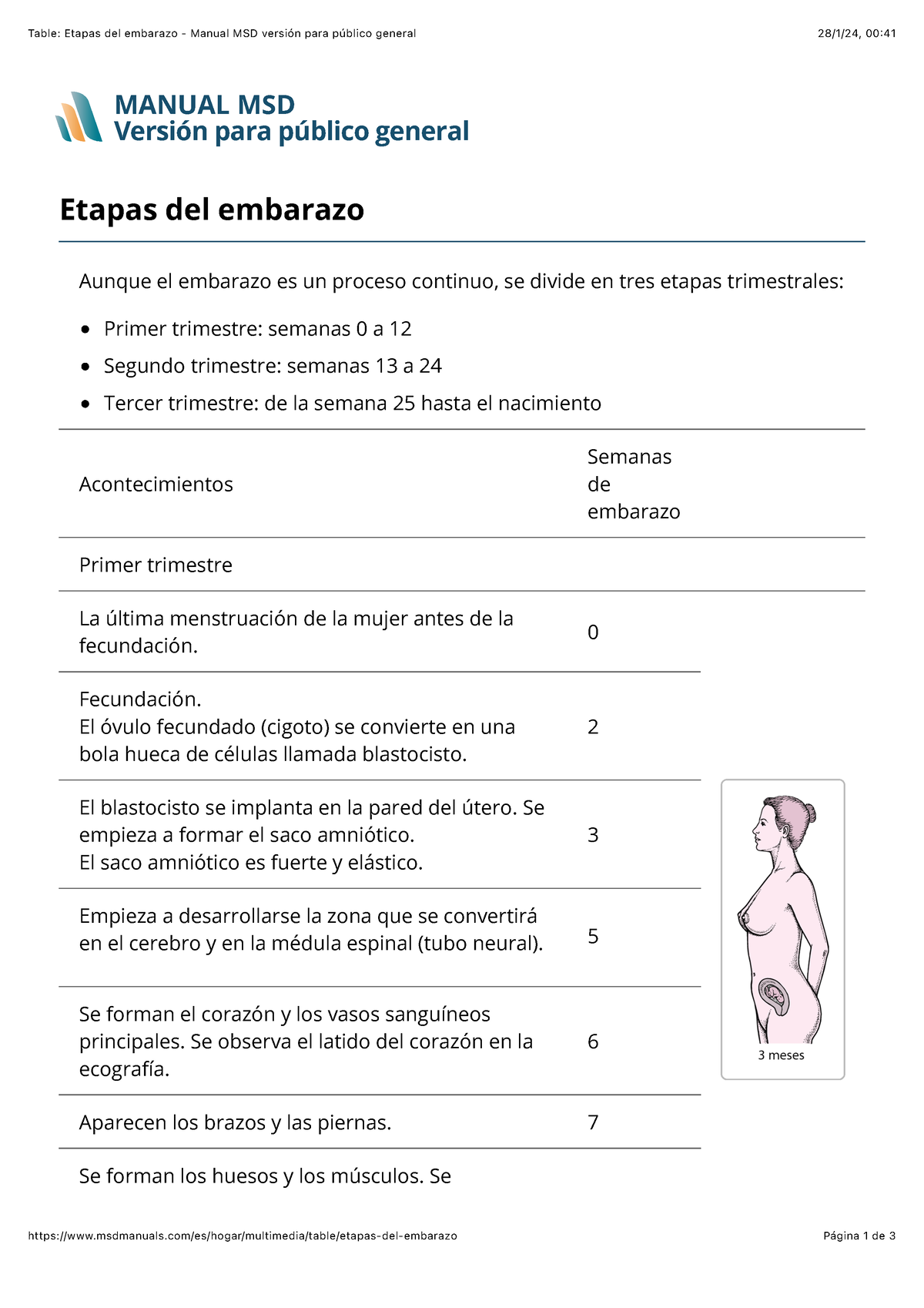 Ilovepdf Merged - Mbjgg - Table: Etapas Del Embarazo - Manual MSD ...