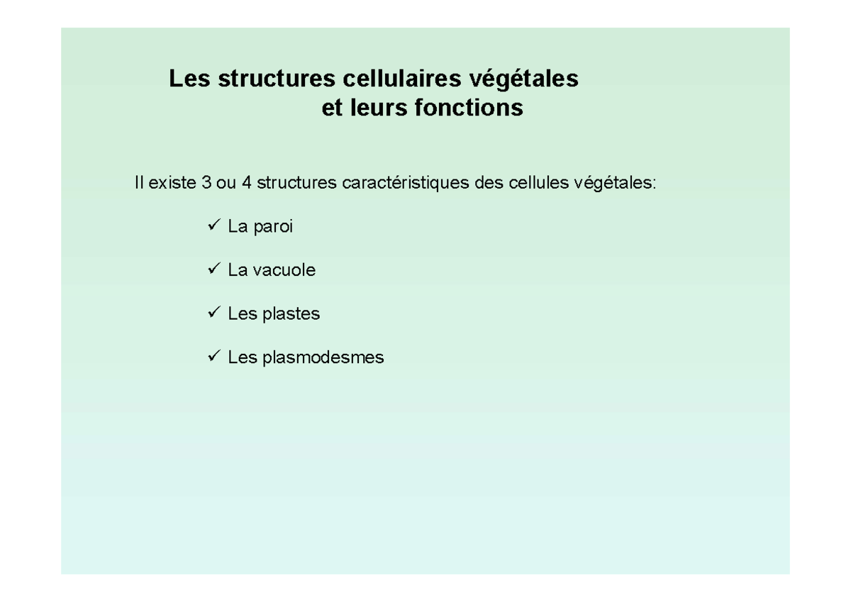 Sitemapcdatahttpsww4cellcare1comterre Vegetale Truffautnull