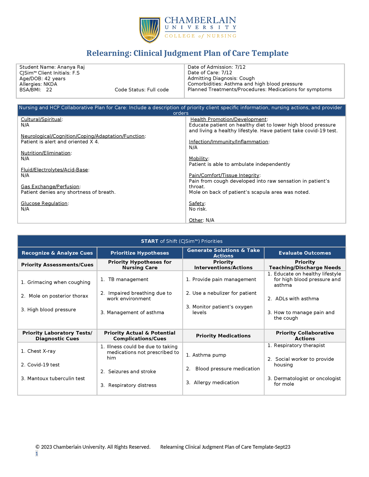 franklin-sanderson-relearning-clinical-judgment-plan-of-care-template