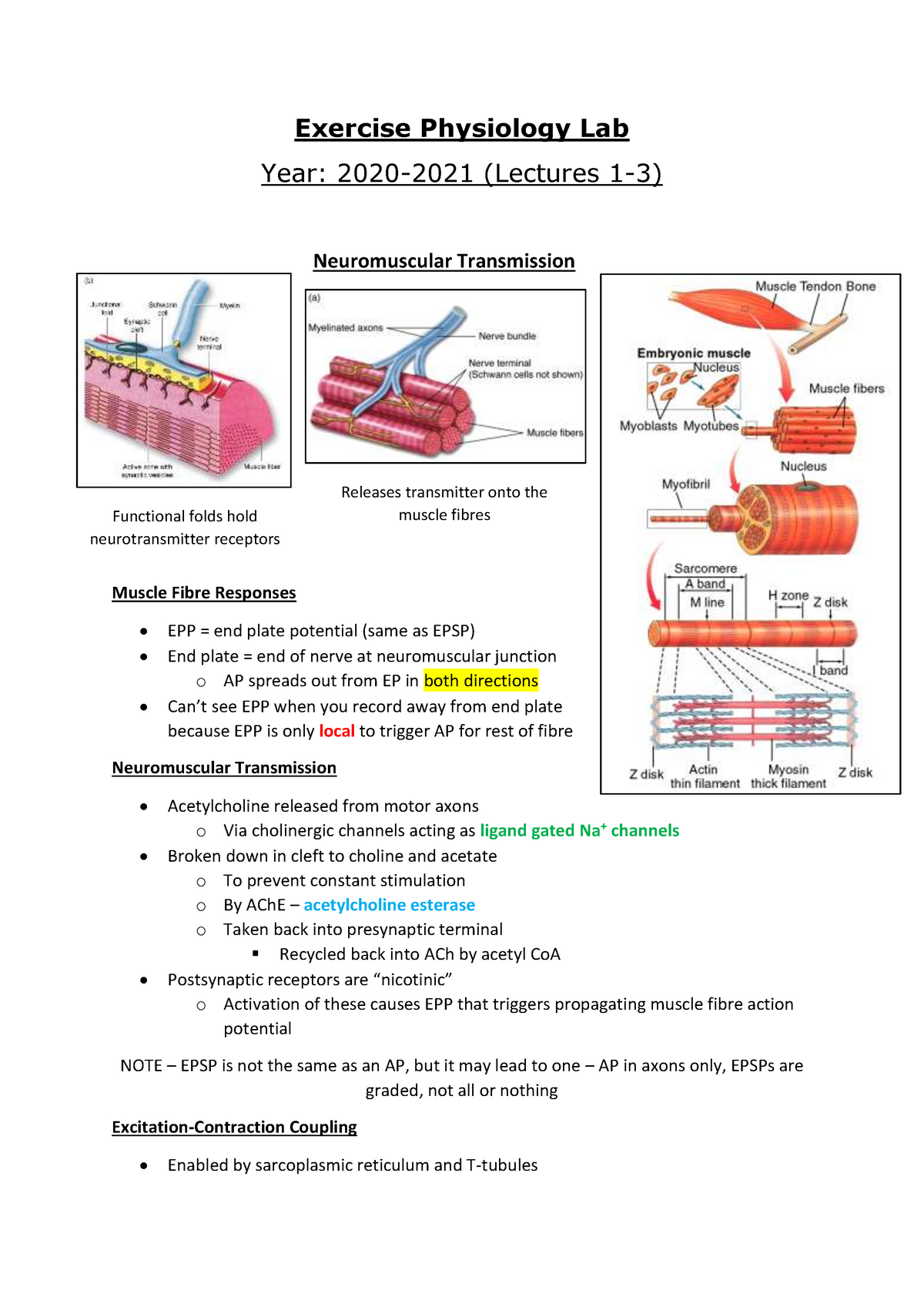 Exercise Physiology Lab Lectures 1to3 20202021 - Exercise Physiology ...