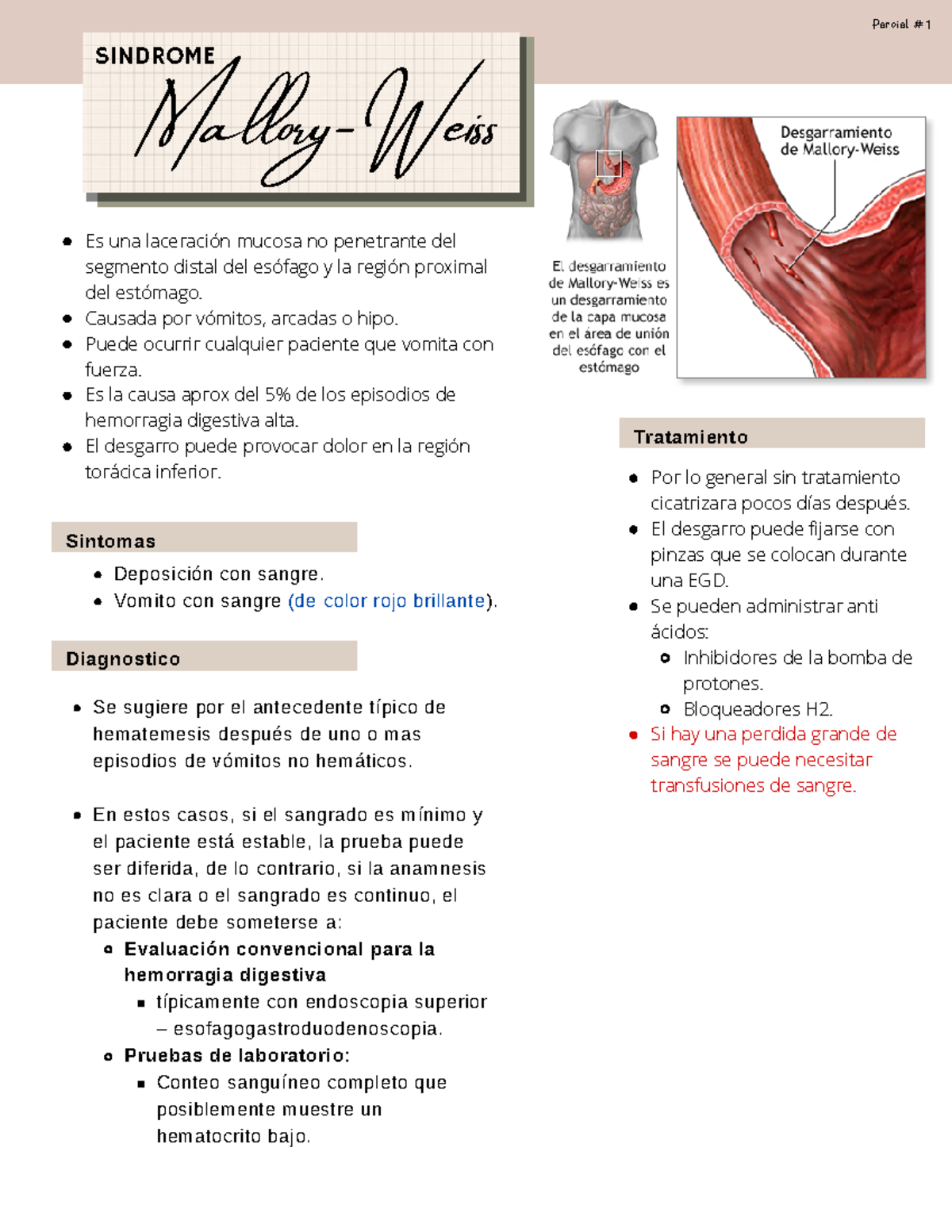 Sindrome Mallory Weiss MalloryWeiss P a r c i a l 1 SINDROME Es