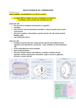 Biology Stage 6 Syllabus 2017 - NSW Syllabus For The Australian ...