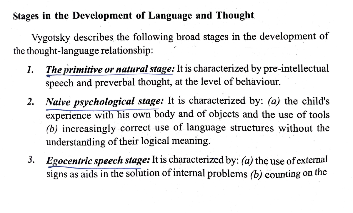 essay on language development