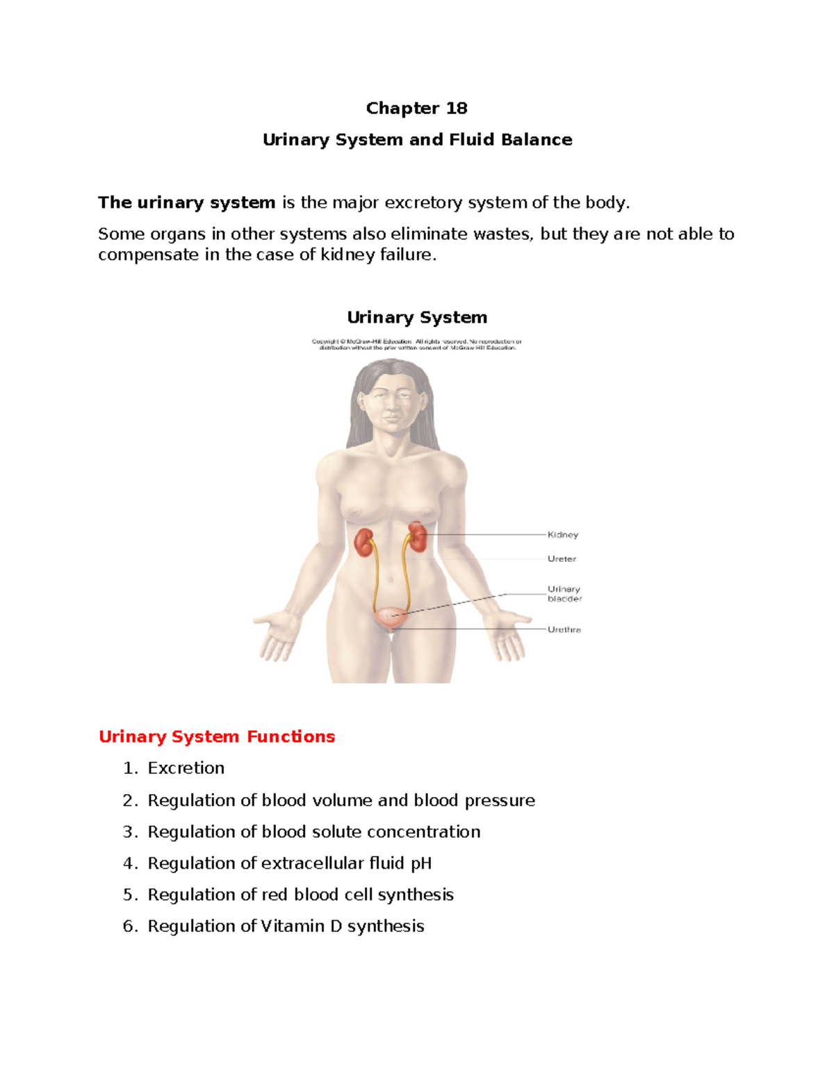Handouts Finals CH 18 - Anatomy and physiology - Chapter 18 Urinary ...