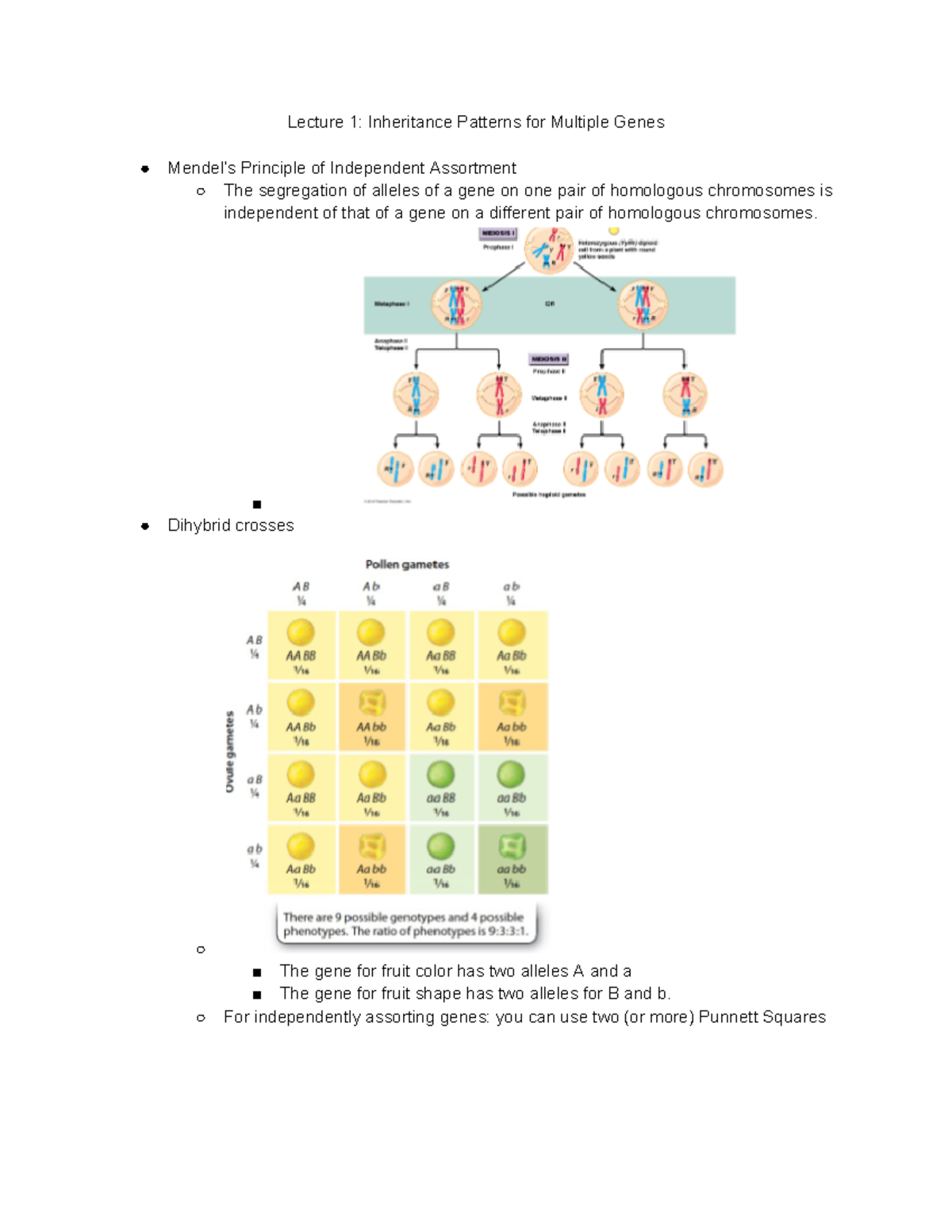LS 7B Week 2 Notes - Lecture 1: Inheritance Patterns for Multiple Genes ...