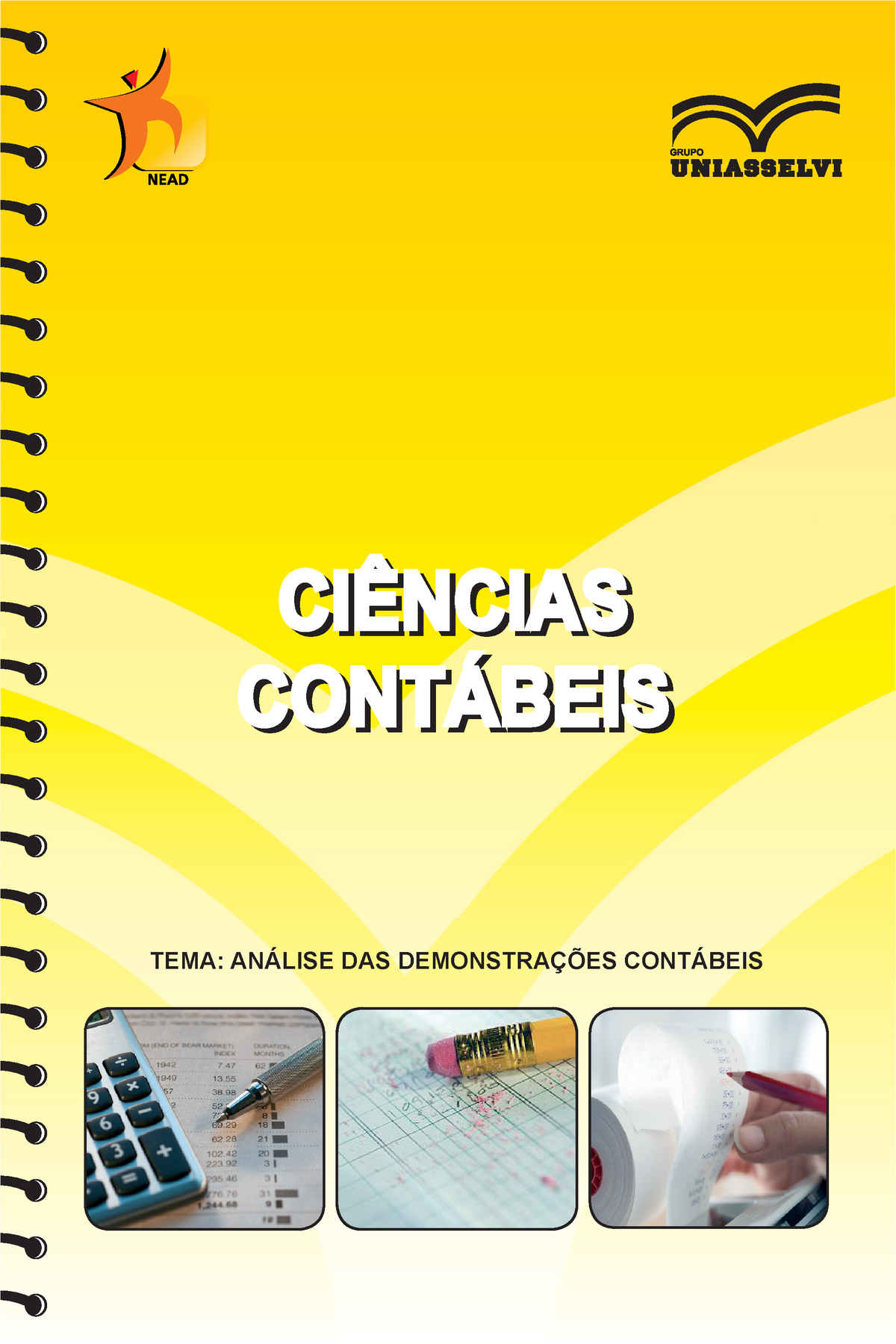 Ciencias Contabeis Etapa 2 Tema AnÁlise Das DemonstraÇÕes ContÁbeis CiÊncias ContÁbeis 5217