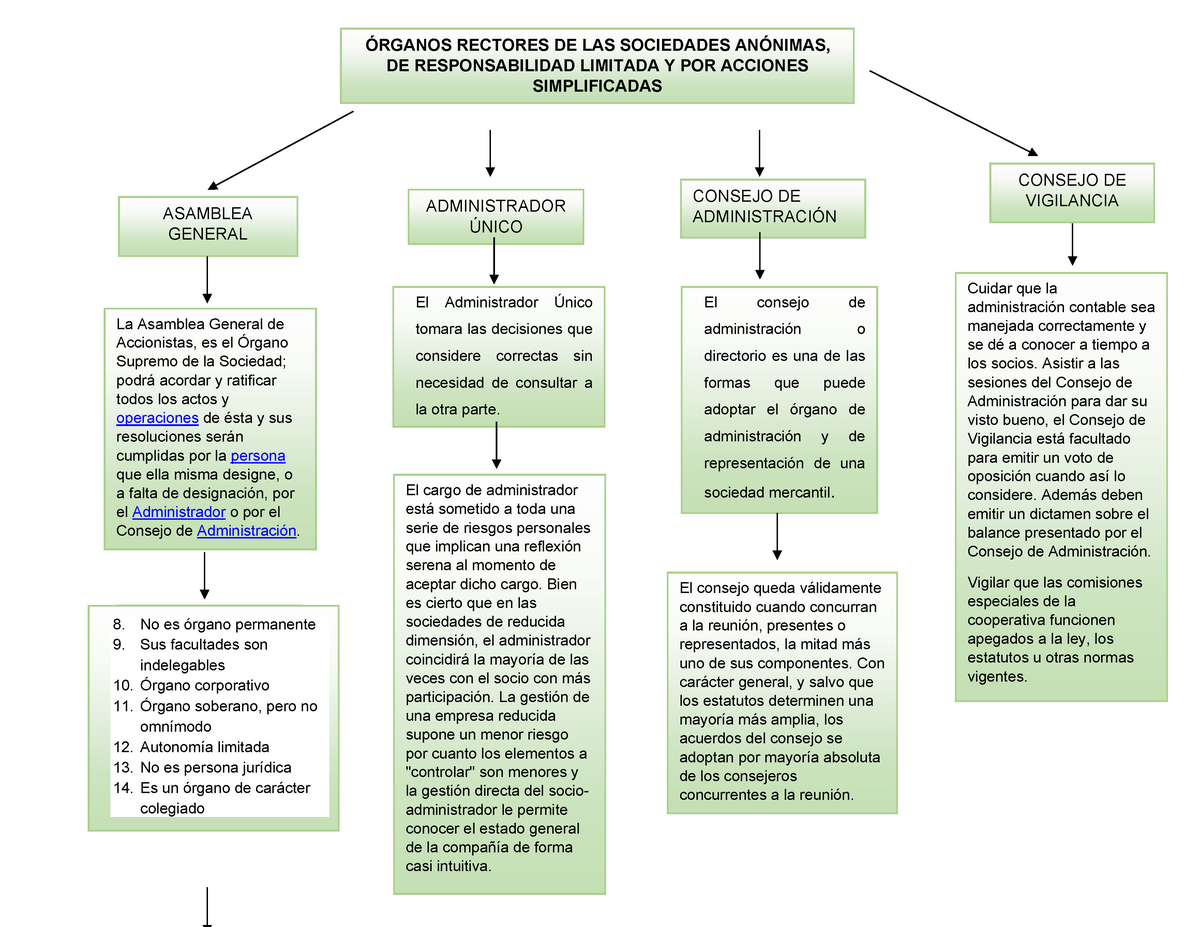 Mapa Conceptual Organos Rectores Consejo De AdministraciÓn