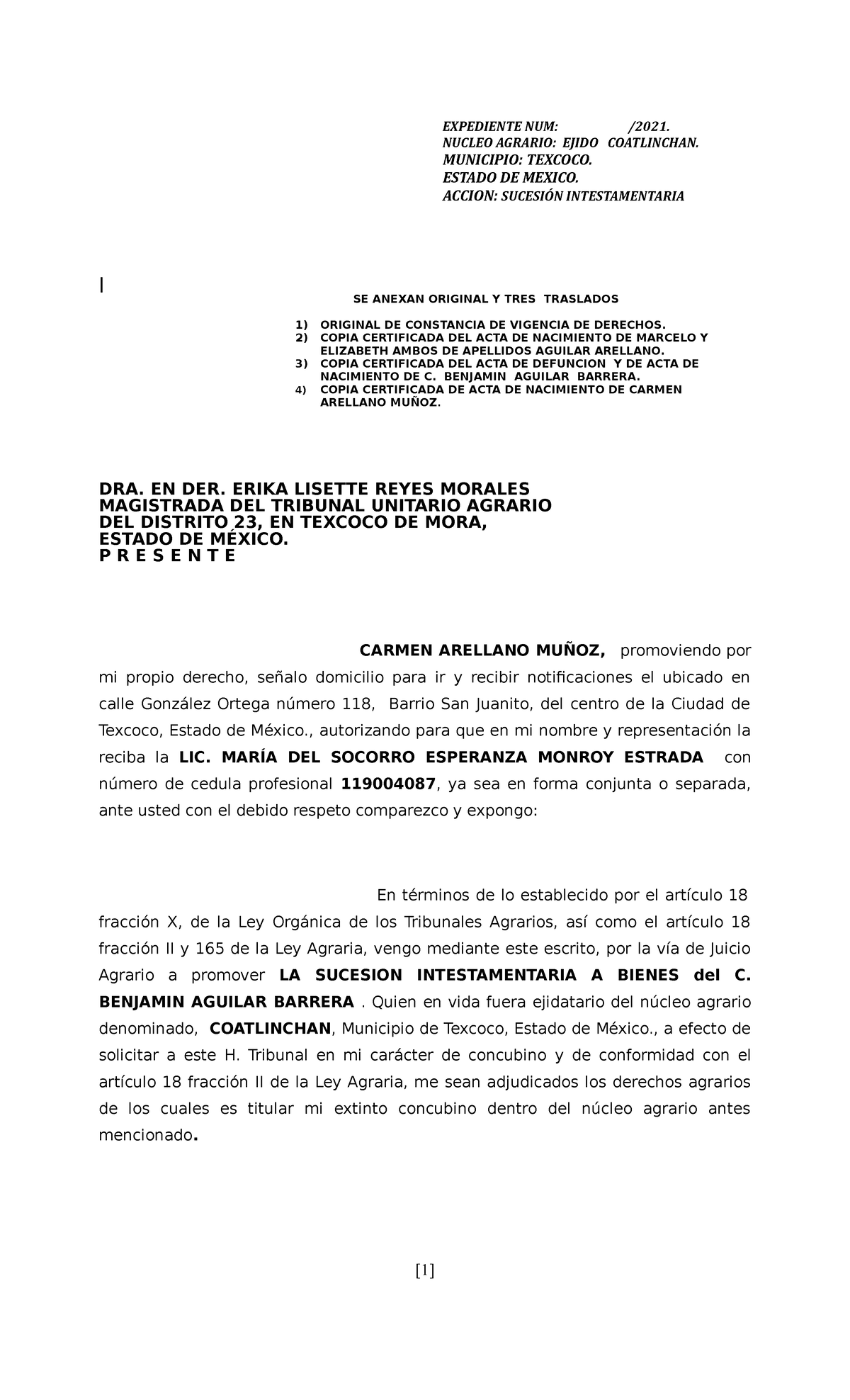 Demanda Intestamentaria Carmen Arellano Nucleo Agrario Ejido