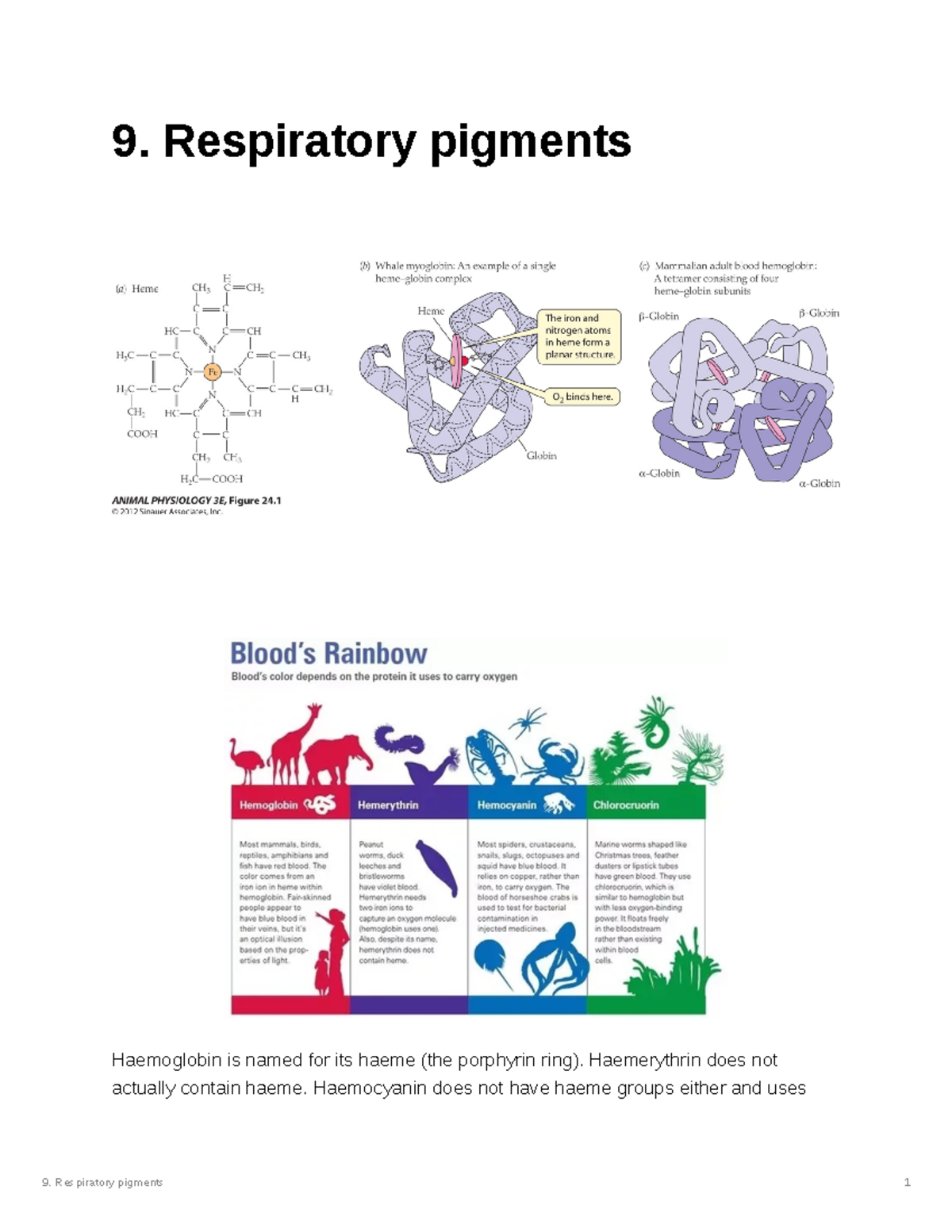 9 Respiratory pigments 9. Respiratory pigments Haemoglobin is named