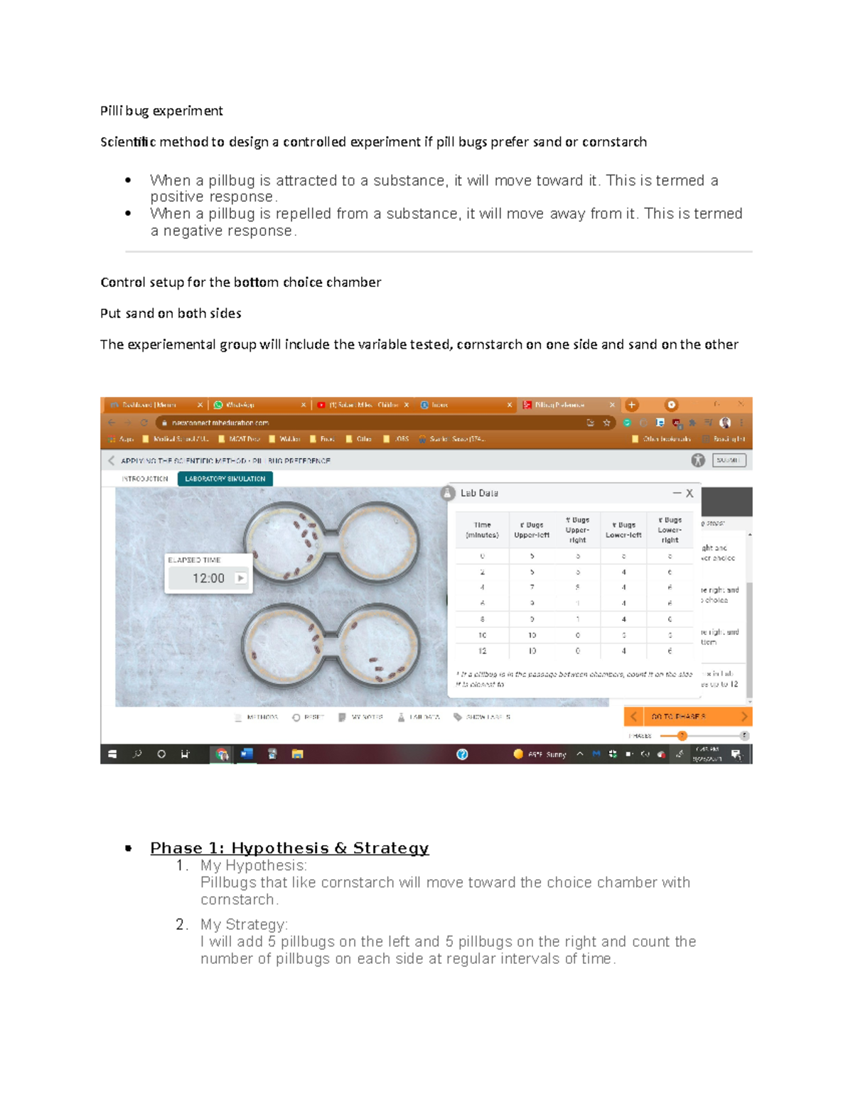 control group pill bug experiment