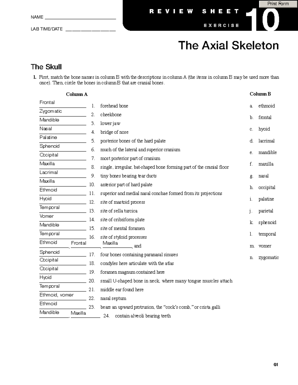 SU BIO1012 W4 A2 Ex10 Molina V - 61 The Skull 1. First, Match The Bone ...