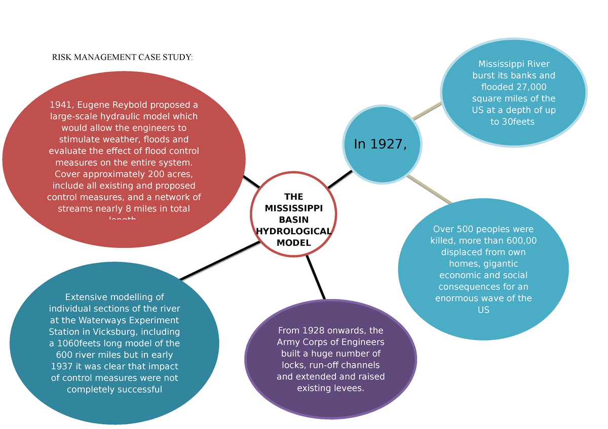 risk management model case study