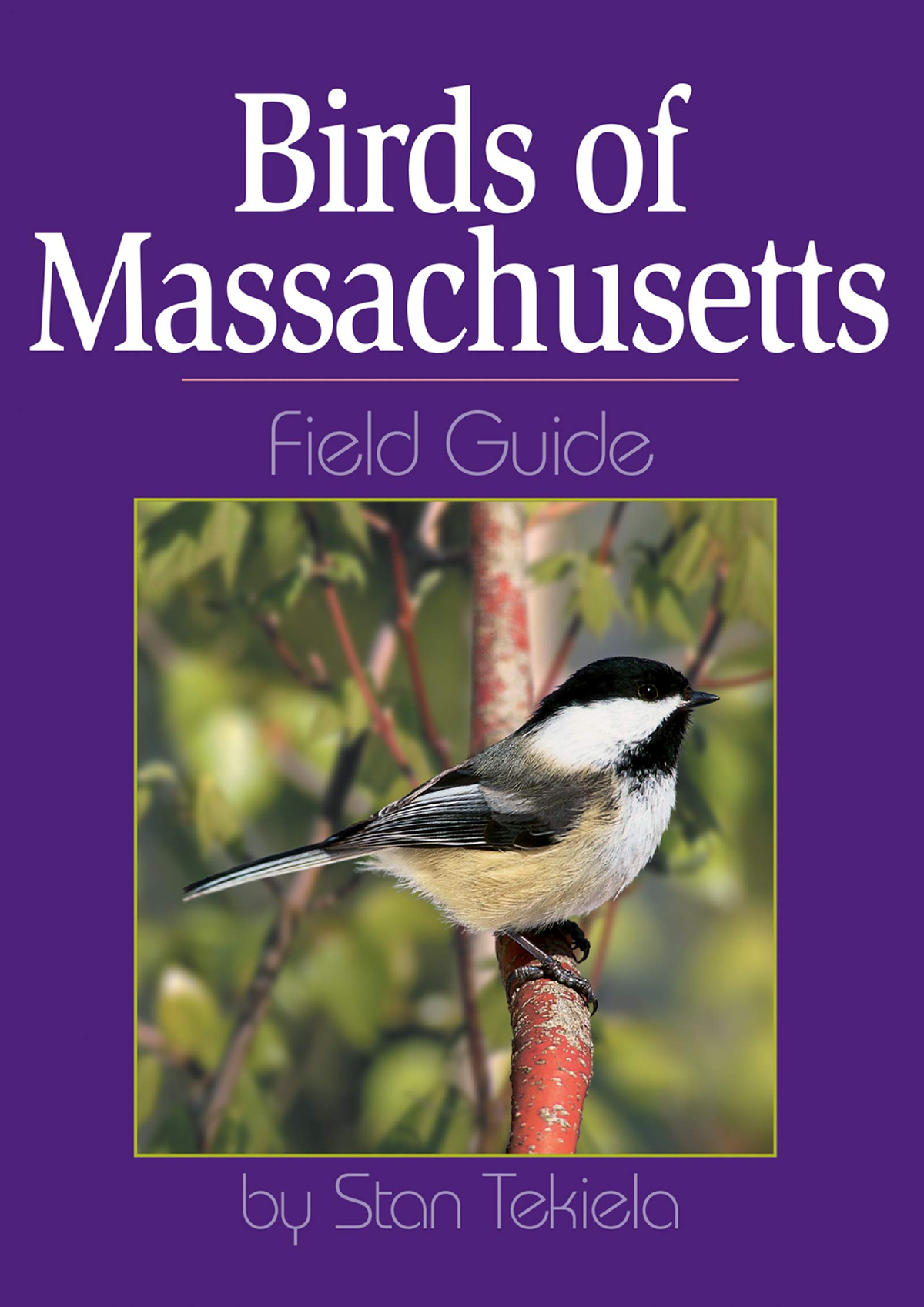 Read Book Birds of Massachusetts Field Guide - Birds of Massachusetts ...