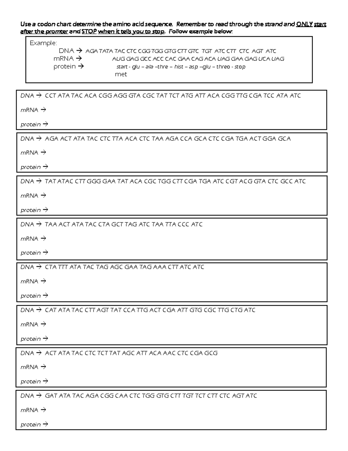 Protein+Synthesis+Worksheet+(CW) - Use a codon chart determine the ...