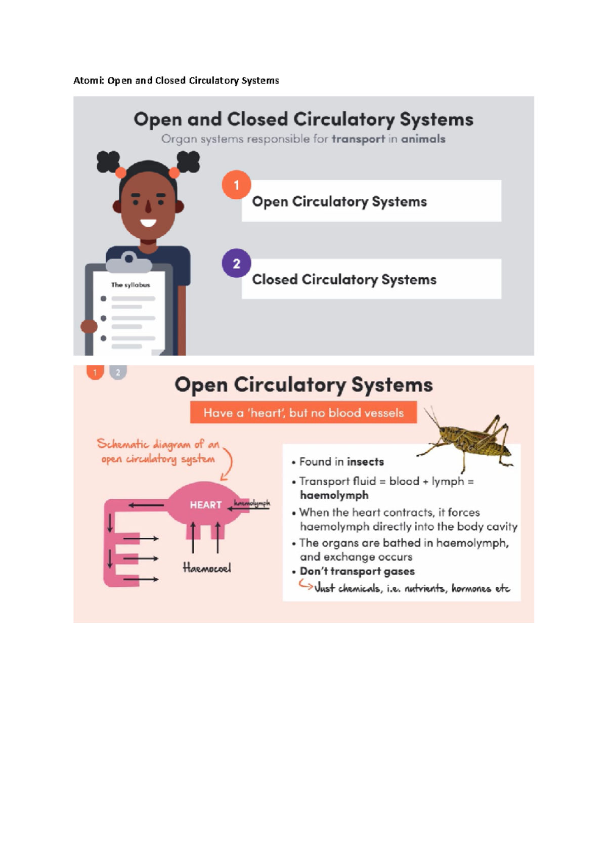 Atomi Open and Closed Circulatory Systems - Studocu