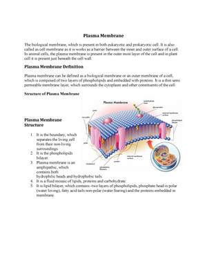 Plasma membrane - Definition and Examples - Biology Online Dictionary