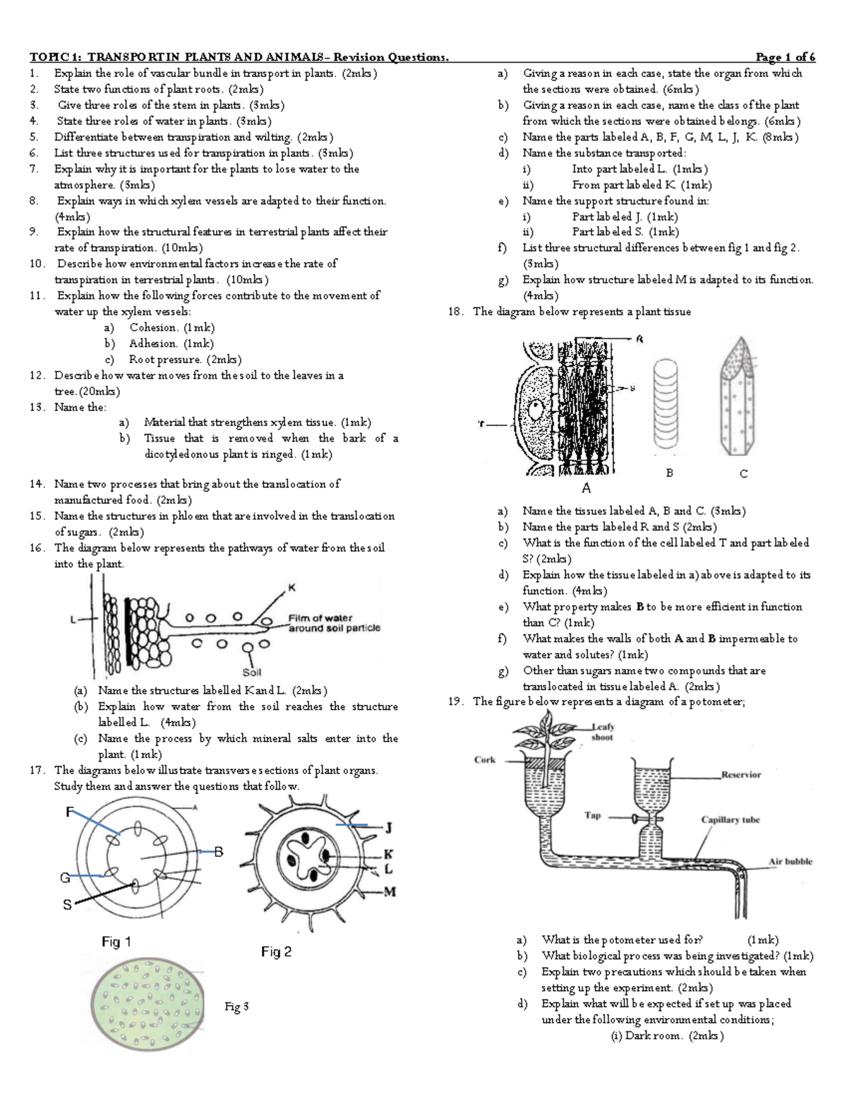 1. Transport in plants and animal - Explain the role of vascular bundle ...