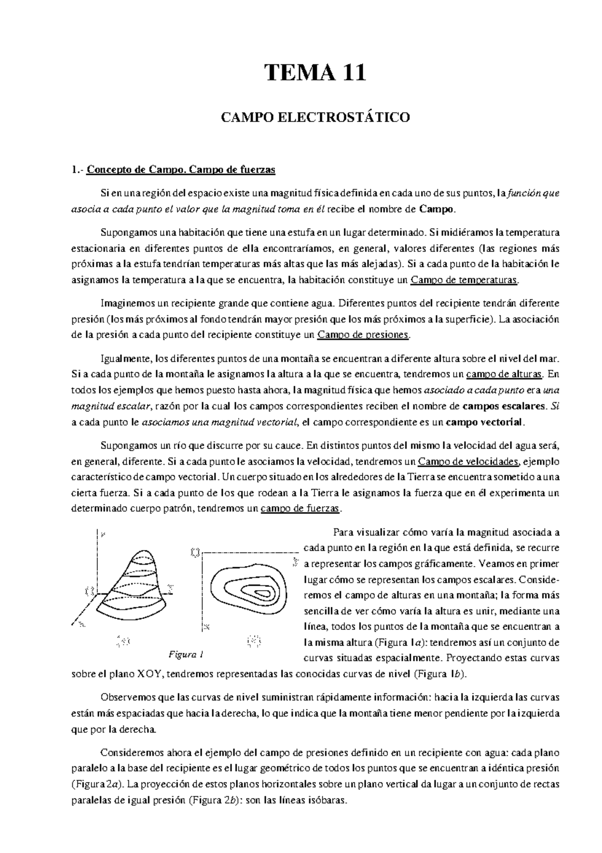 Campo Electrico Figura 1 TEMA 11 CAMPO ELECTROST TICO 1 Concepto De