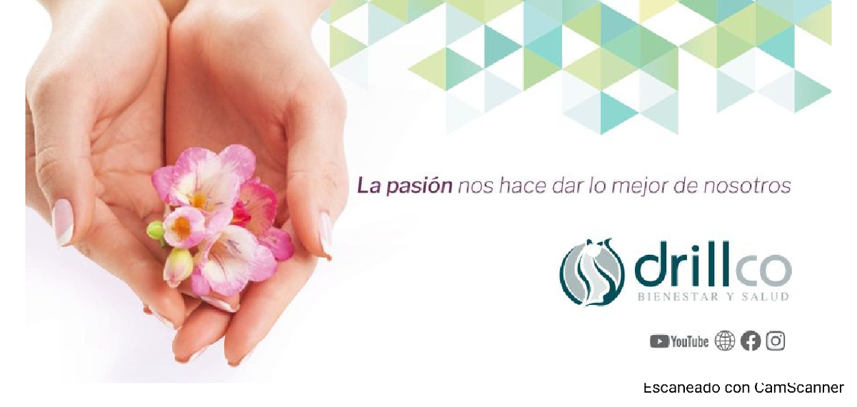 Drillco catalogo belleza int Sistemas Informáticos Studocu