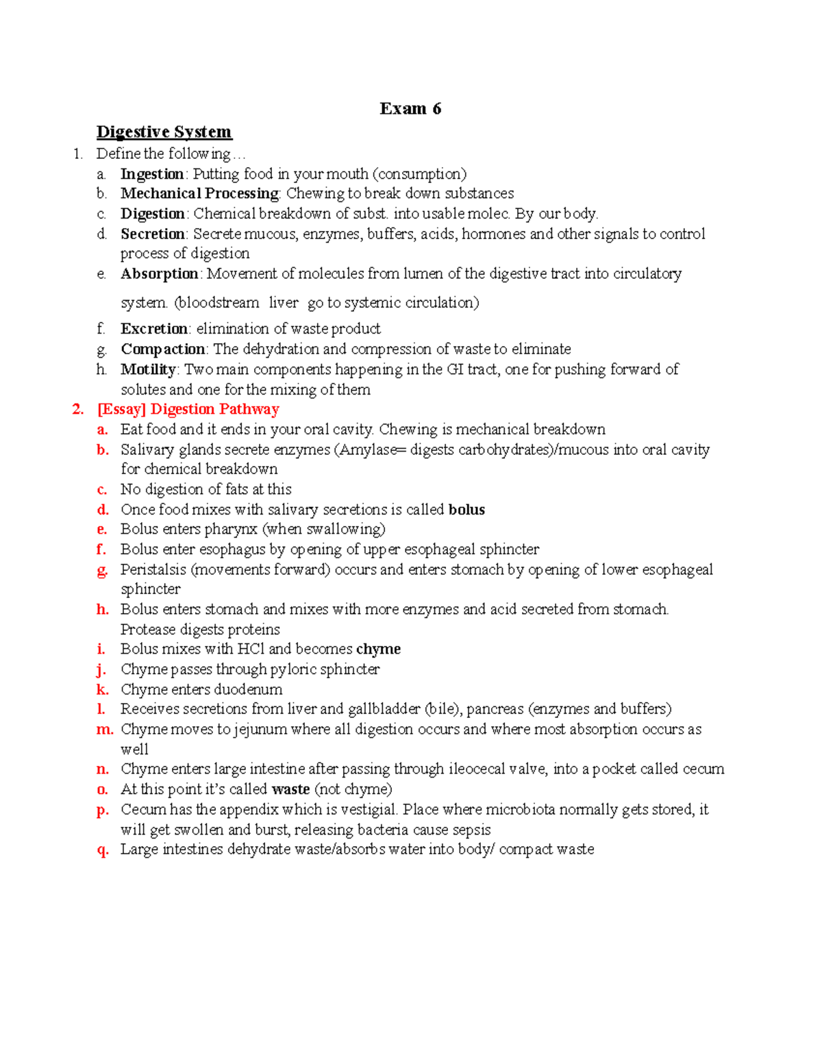 Human Anatomy Exam 6 Final Exam - Digestive, Renal, Urinary, and ...