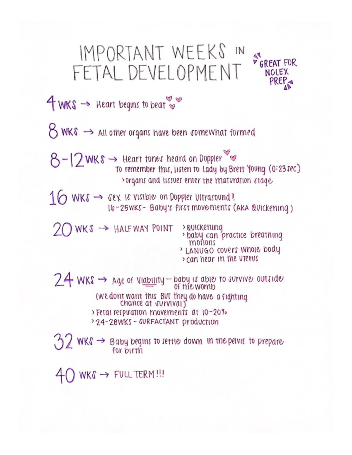 Important weeks in fetal development - Nur2513 - Studocu