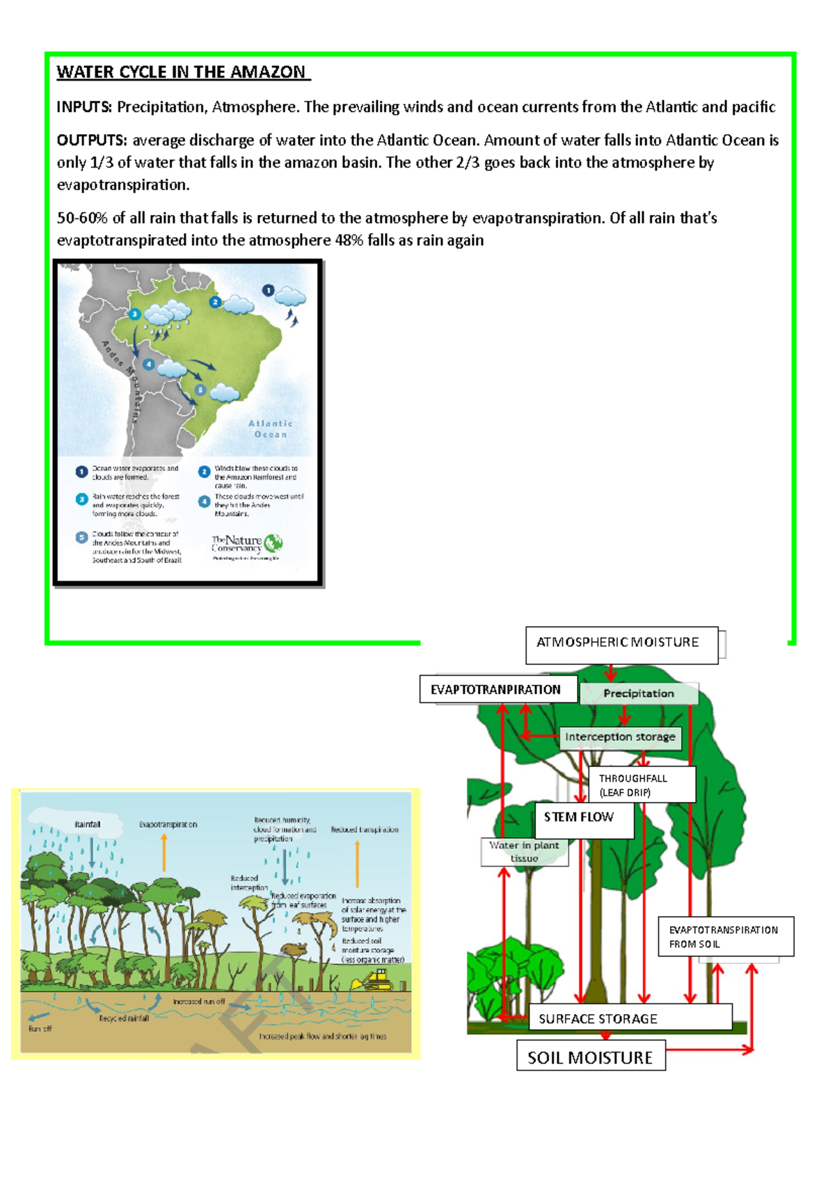 where-is-water-stored-in-the-amazon-water-cycle-in-the-amazon-inputs