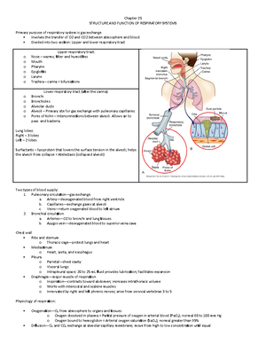 Active Learning Template medication (1).pdf multivitamin - ACTIVE ...